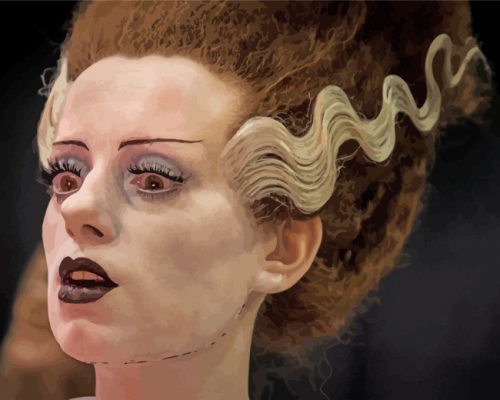 Aesthetic Bride Of Frankenstein Paint by numbers