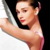 Audrey Hepburn Paint by numbers