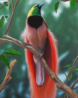 Bird Of Paradise Paint by numbers