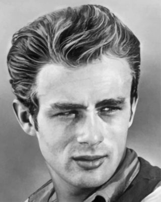 Black And White James Dean paint by numbers