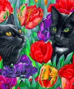 Black cats paint by numbers