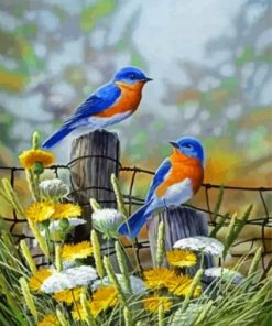 Blue Birds Paint by numbers