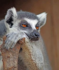 Bored Lemur Paint by numbers