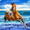 Brown And White Horse Paint by numbers