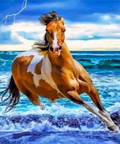 Brown And White Horse Paint by numbers