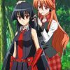 Chelsea Akame Ga Kill Paint by numbers