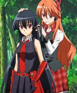 Chelsea Akame Ga Kill Paint by numbers