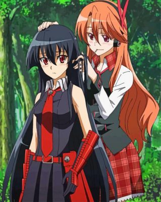 Chelsea Akame Ga Kill Paint by numbers