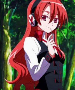 Chelsea From Akame Ga Kill Paint by numbers