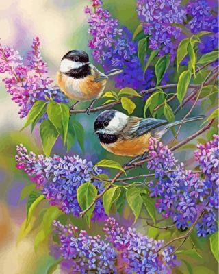 Chickadees And Lilacs Paint by numbers