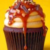 Coffee And Walnut Cupcake Paint by numbers