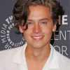 Cole Sprouse Paint by numbers