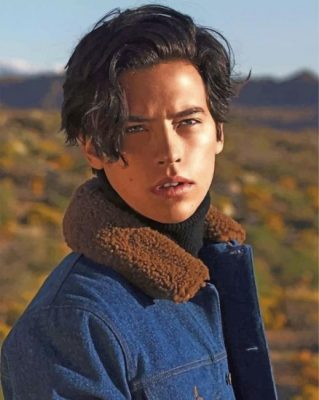 Cole Sprouse Photo Shoot Paint by numbers