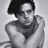 Cole Sprouse Smoking paint by numbers