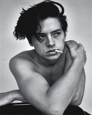 Cole Sprouse Smoking paint by numbers