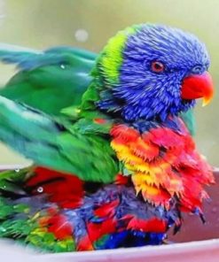 Colorful Bird Paint by numbers
