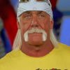 Cool Hulk Hogan Paint by numbers