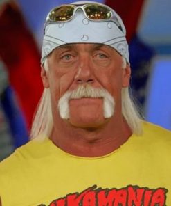 Cool Hulk Hogan Paint by numbers