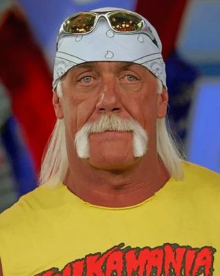 Cool Hulk Hogan Paint by numbers