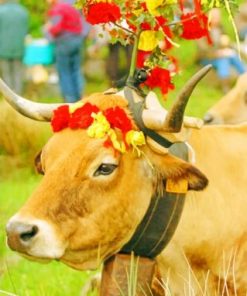 Cow And Flowers Paint by numbers