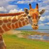 Curious Giraffe Paint by numbers