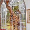 Curious Giraffes Paint by numbers