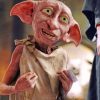 Cute Dobby Paint by numbers