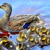 Cute Ducks In A Row Paint by numbers