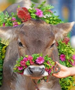 Cute Floral Cow Paint by numbers