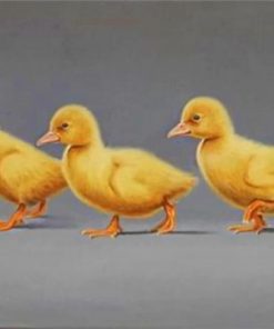 Ducks In A Row Paint by numbers