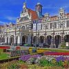 Otago University Paint by numbers
