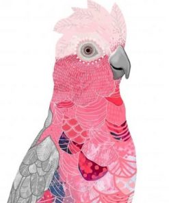 Pink Galah Bird Paint by numbers