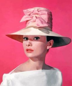 Gorgeous Hepburn Paint by numbers