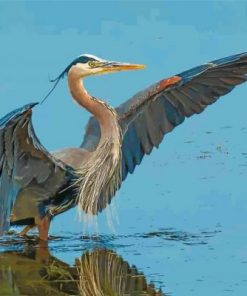 Great Blue Heron Bird Paint by numbers