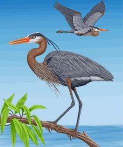Great Blue Heron Birds Paint by numbers