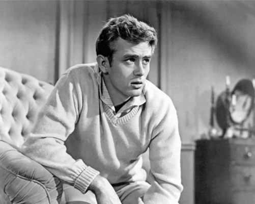 Handsome James Dean Paint by numbers