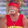 Hulk Hogan Paint by numbers