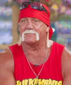Hulk Hogan Paint by numbers