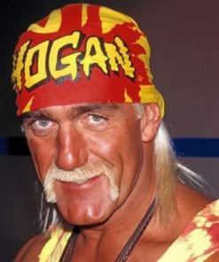 WWE Hulk Hogan Paint by numbers