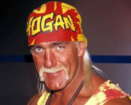 WWE Hulk Hogan Paint by numbers