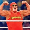 Hulk Hogan Paint by numbers