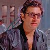 Ian Malcolm paint by numbers