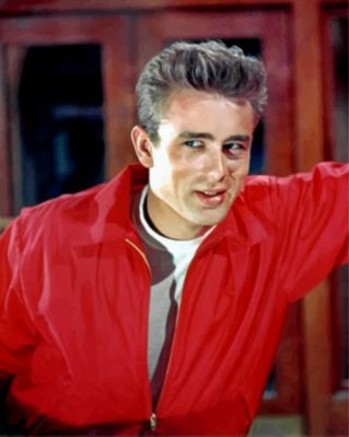 James Dean Paint by numbers