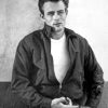 James Dean Paint by numbers