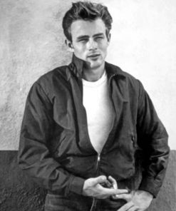 James Dean Paint by numbers