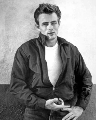James Dean Paint by numbers