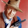 John Wayne Paint by numbers