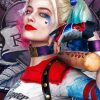 Birds Of Prey Harley Quinn Paint by numbers