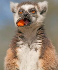 Lemur Eating Paint by numbers