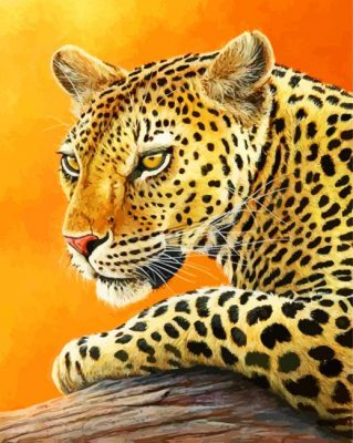 The Leopard paint by numbers